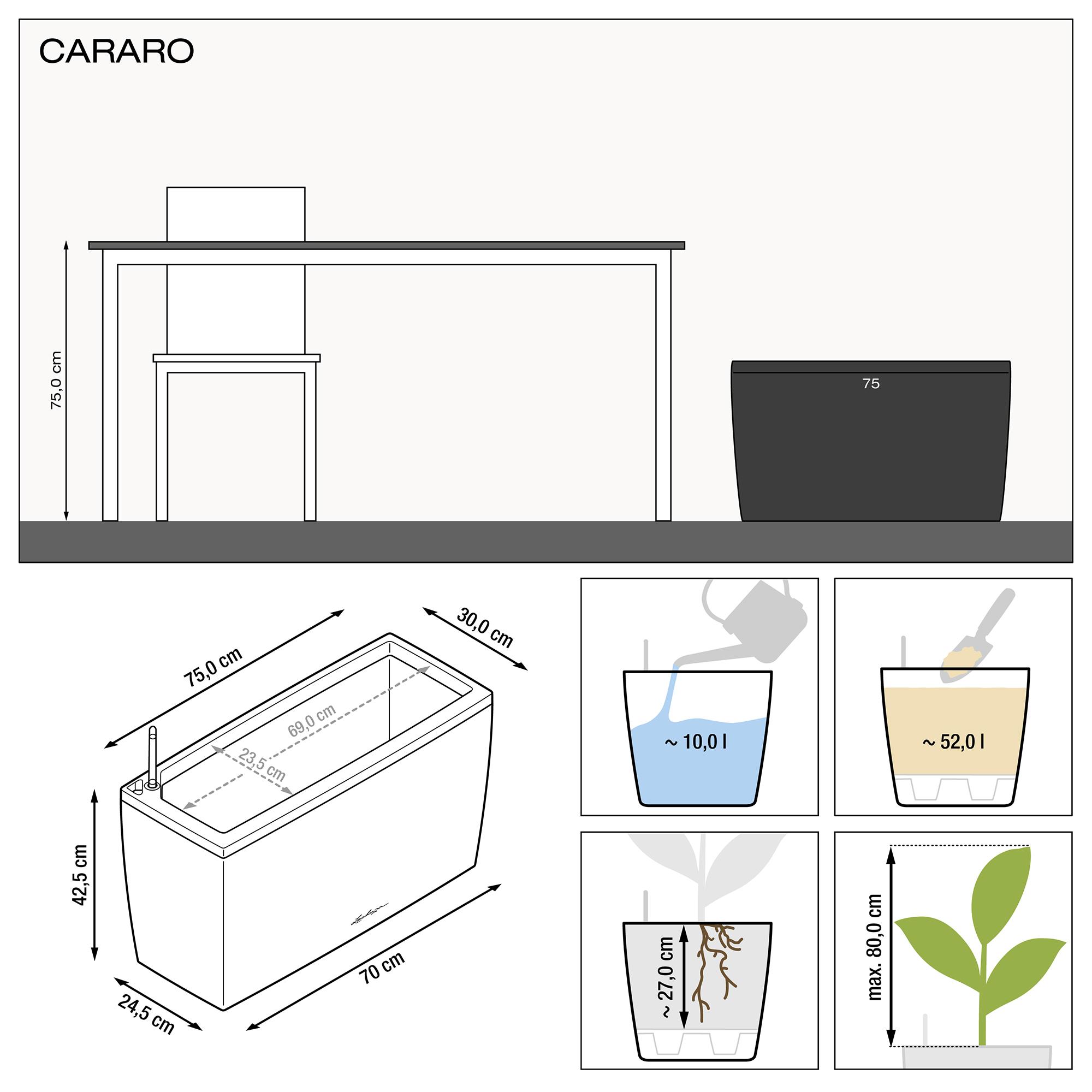 le_cararo_product_addi_nz